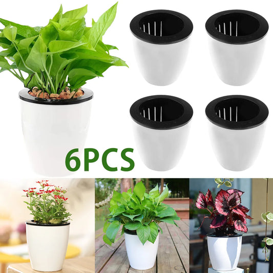 6 automatic watering pots with cotton rope